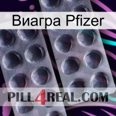 Виагра Pfizer 31